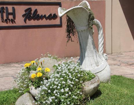 Hotel Felence San Bernardo Luaran gambar